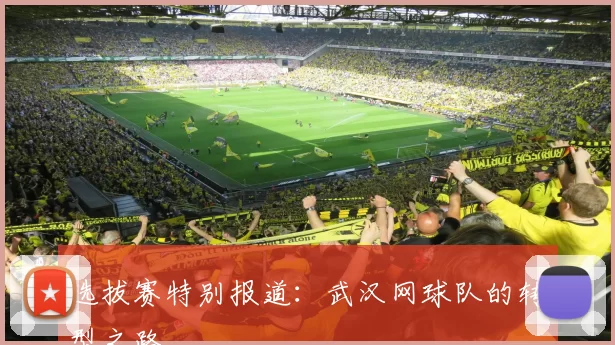 选拔赛特别报道：武汉网球队的转型之路