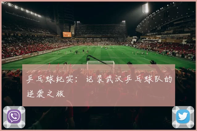 乒乓球纪实：记录武汉乒乓球队的逆袭之旅