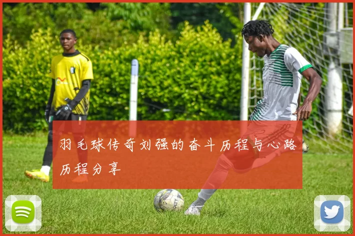 羽毛球传奇刘强的奋斗历程与心路历程分享