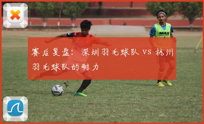 赛后复盘：深圳羽毛球队 vs 杭州羽毛球队的耐力
