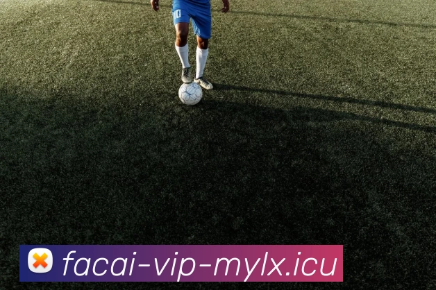 最新排球状态TOP10：北京排球队领跑